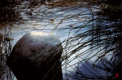 Como el agua (2)